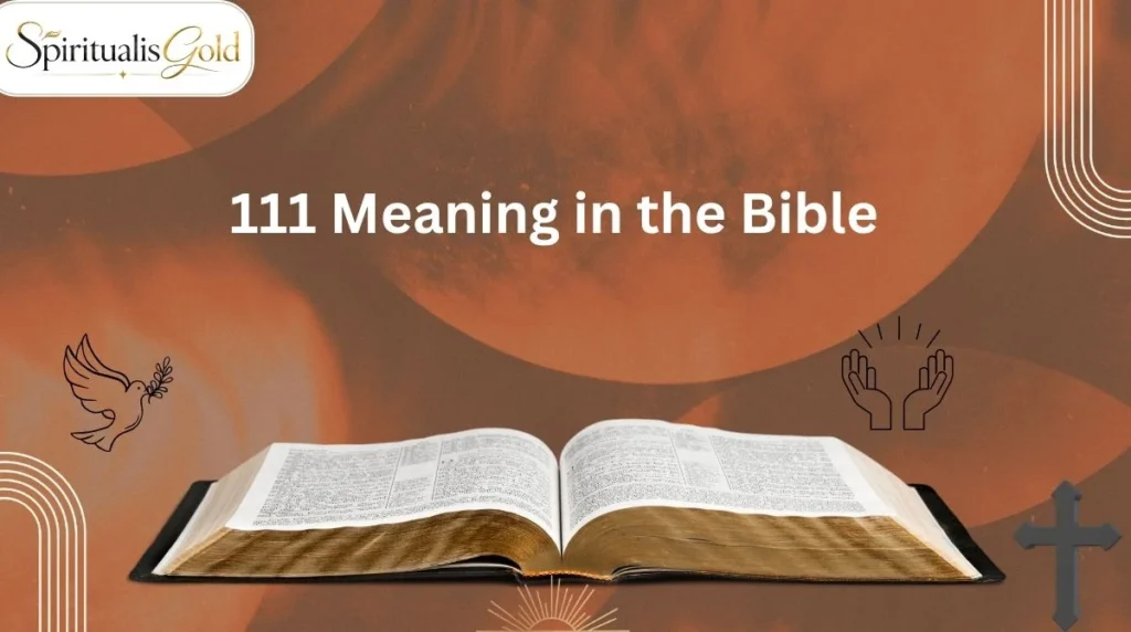 111 Meaning in the Bible