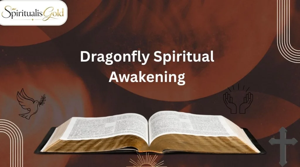Dragonfly Spiritual Awakening