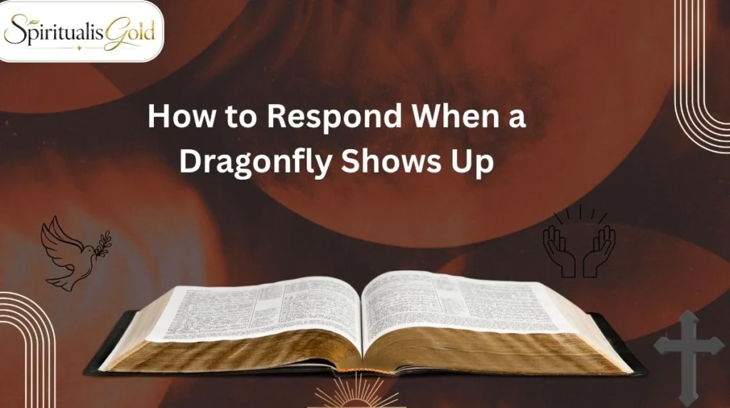 How to Respond When a Dragonfly Shows Up