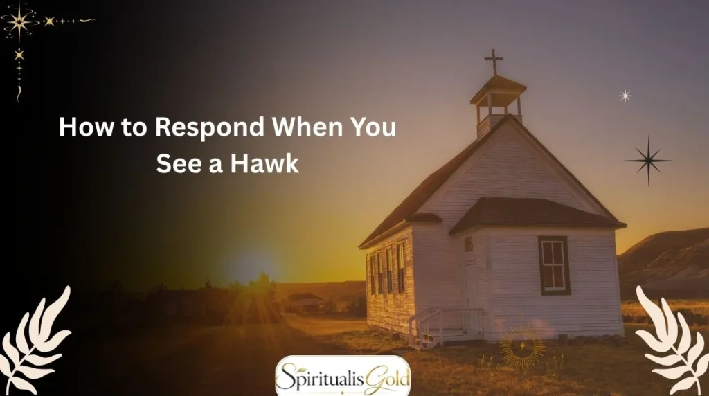 How to Respond When You See a Hawk