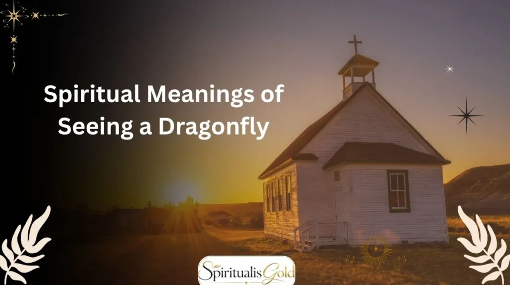 Spiritual Meanings of Seeing a Dragonfly