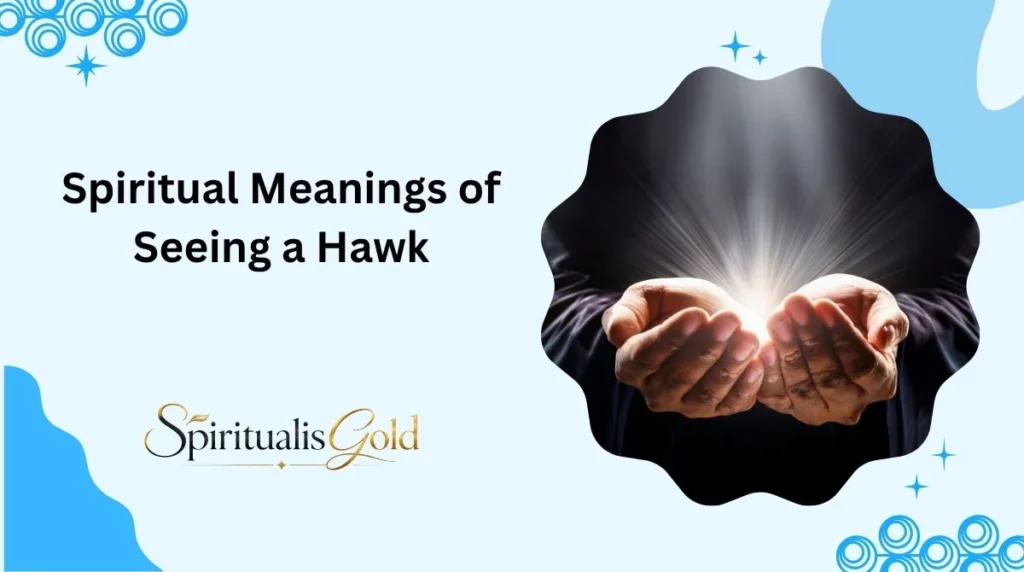 Spiritual Meanings of Seeing a Hawk
