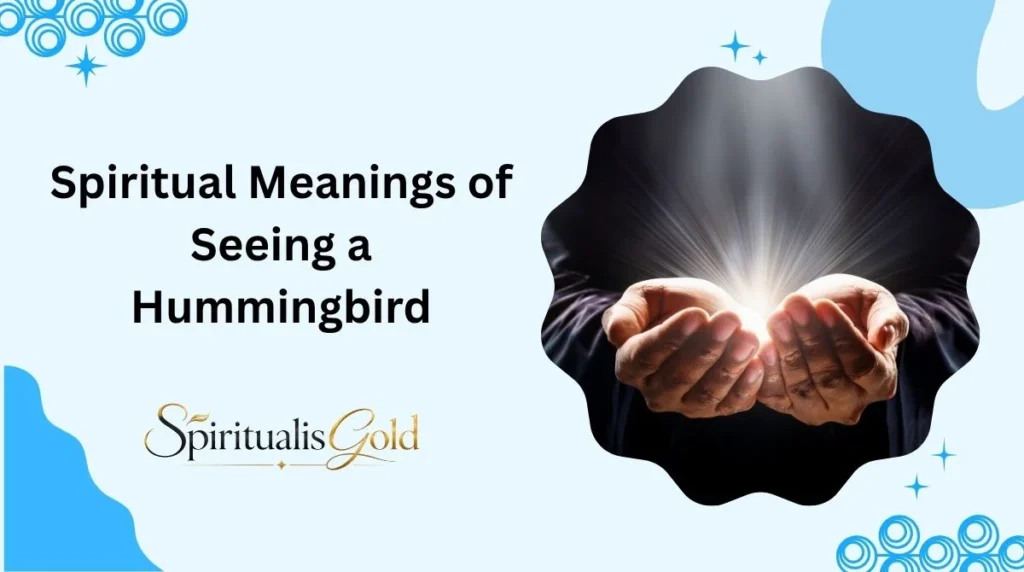 Spiritual Meanings of Seeing a Hummingbird