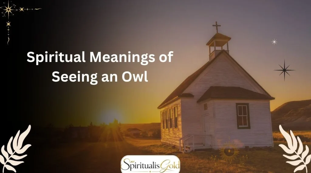 Spiritual Meanings of Seeing an Owl