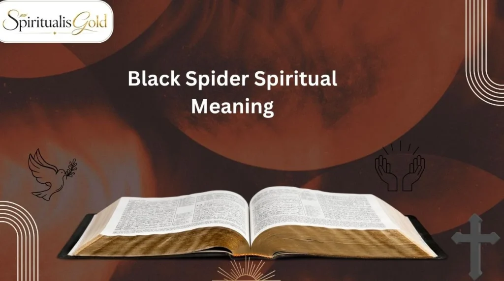 Black Spider Spiritual Meaning