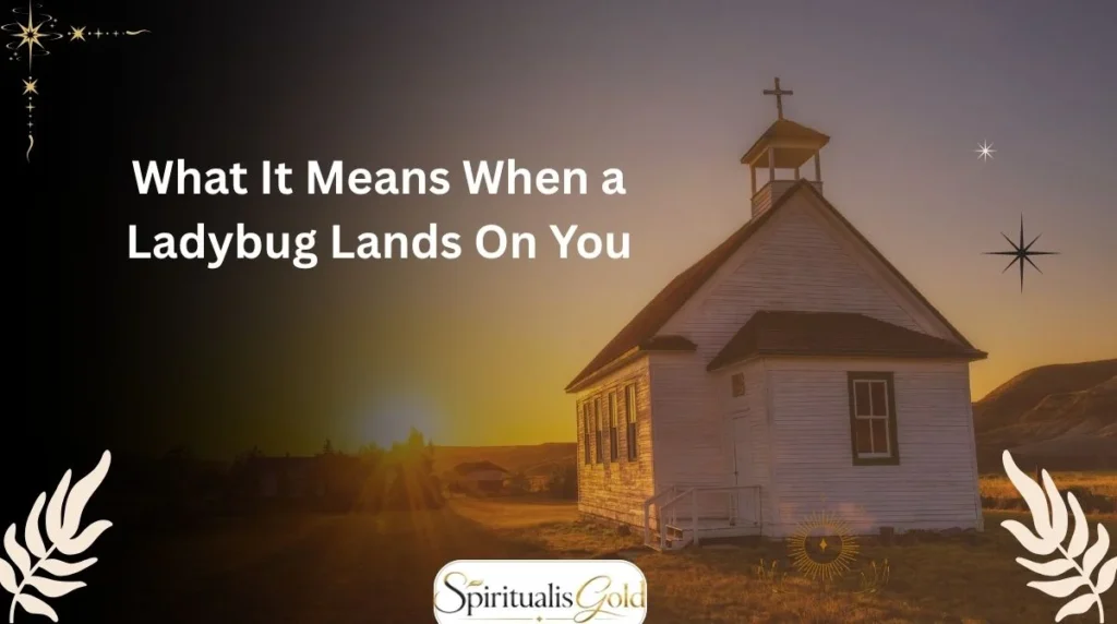 What It Means When a Ladybug Lands On You