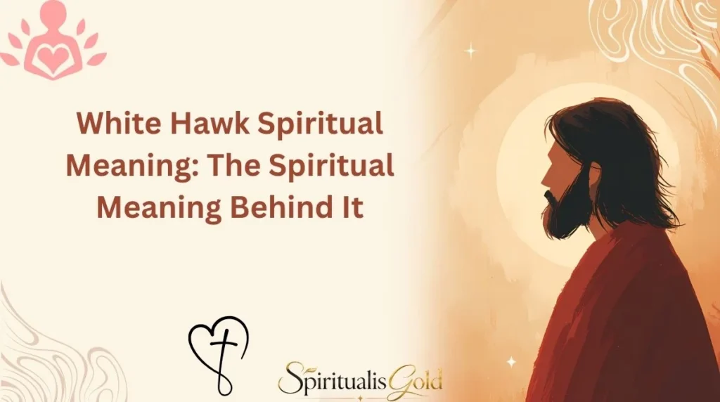 White Hawk Spiritual Meaning: The Spiritual Meaning Behind It