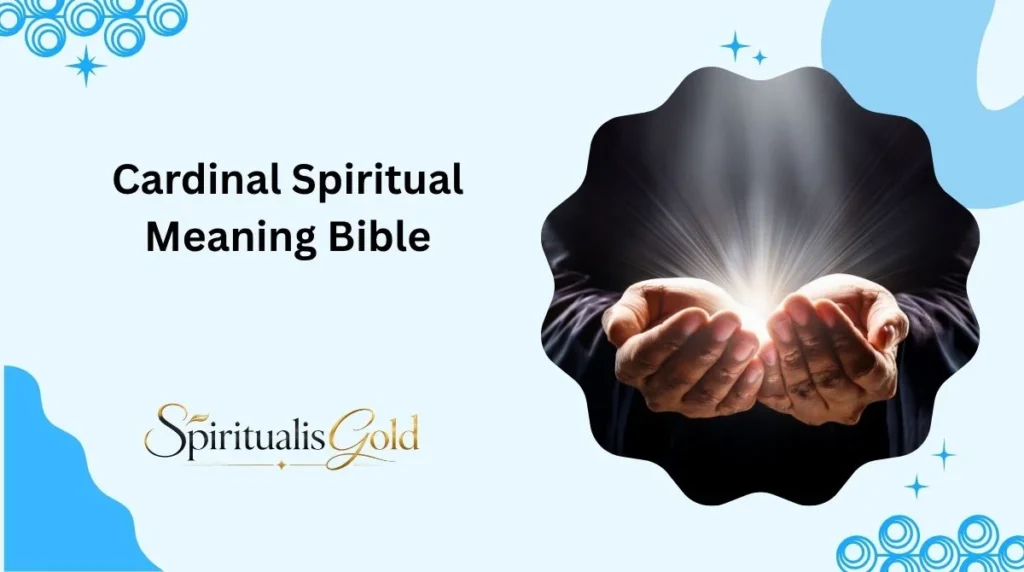 Cardinal Spiritual Meaning Bible