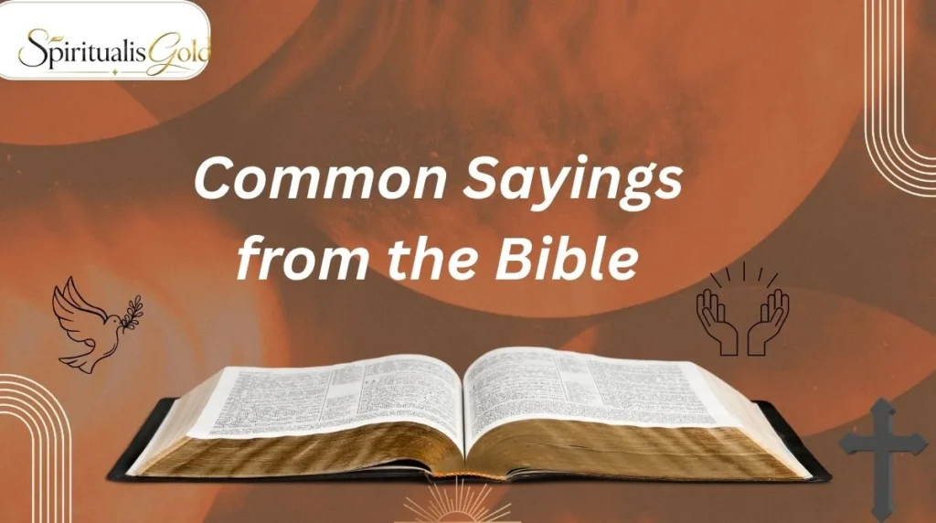 Common Sayings from the Bible