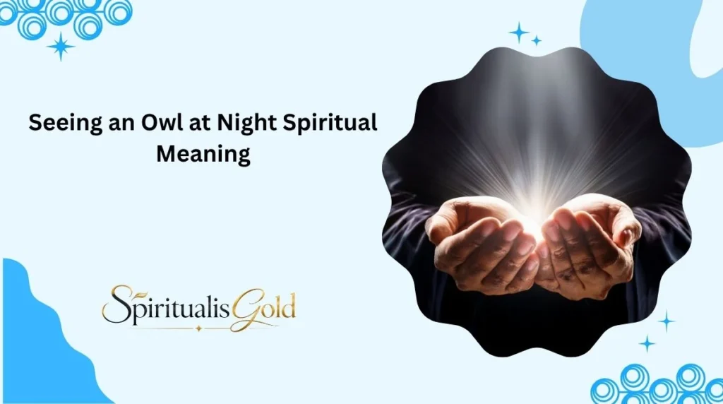 Seeing an Owl at Night Spiritual Meaning