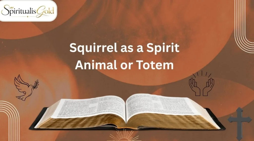 Squirrel as a Spirit Animal or Totem