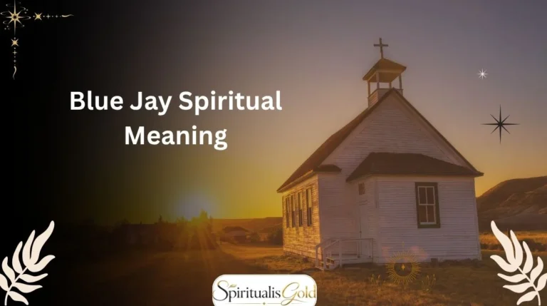 Blue Jay Spiritual Meaning