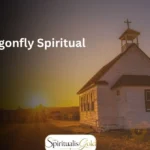 Dragonfly Spiritual