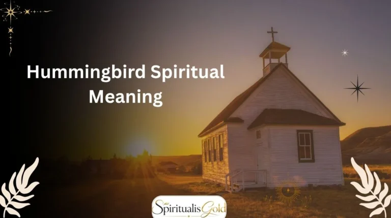 Hummingbird Spiritual Meaning