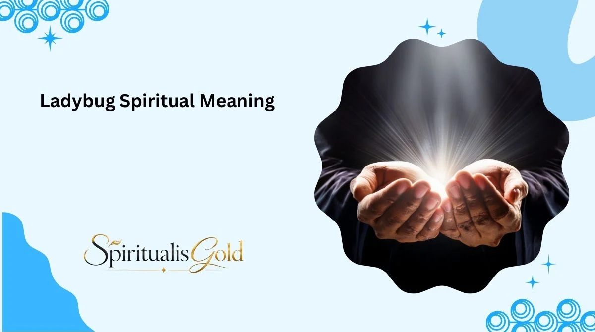 Ladybug Spiritual Meaning