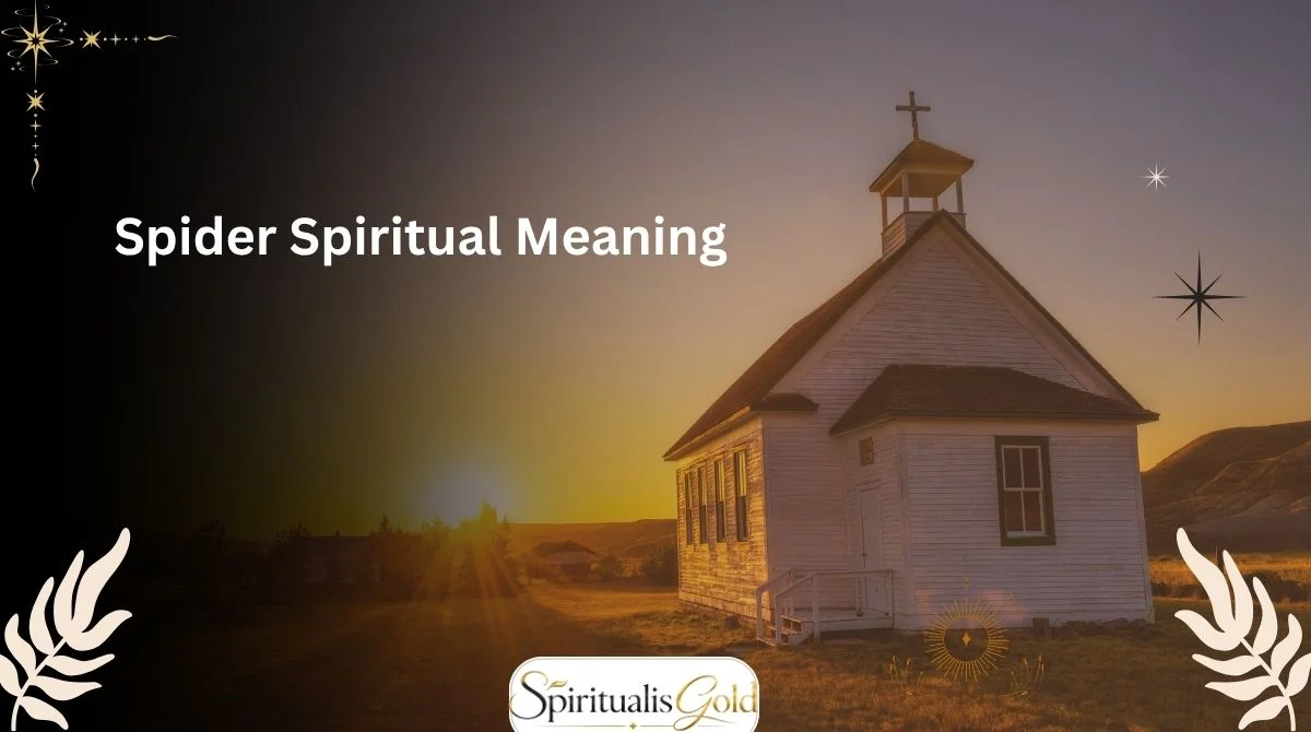 Spider Spiritual Meaning