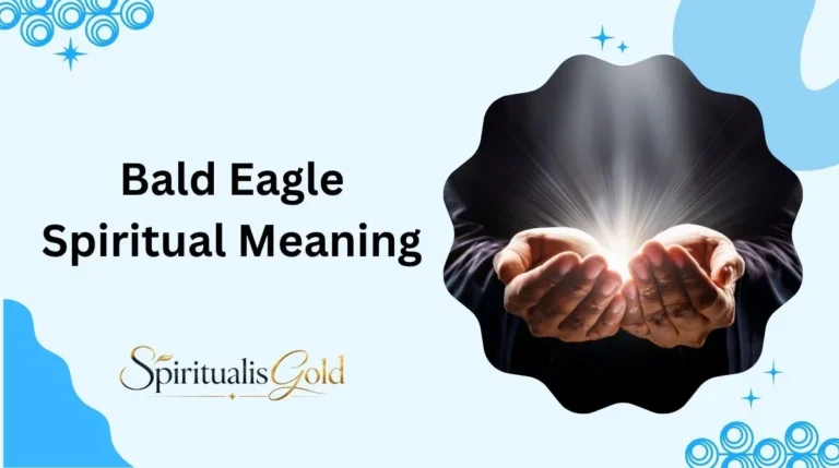 Bald Eagle Spiritual Meaning