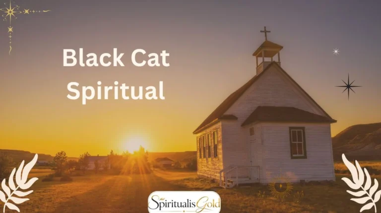 Black Cat Spiritual