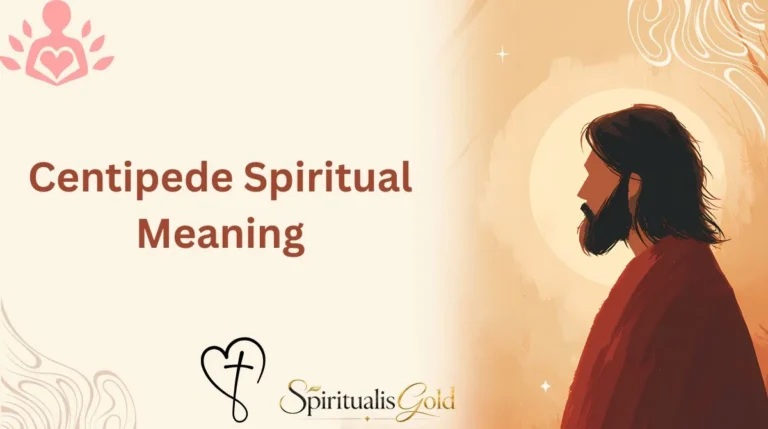 Centipede Spiritual Meaning