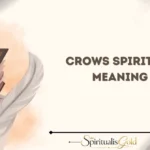 Crows Spiritual Meaning