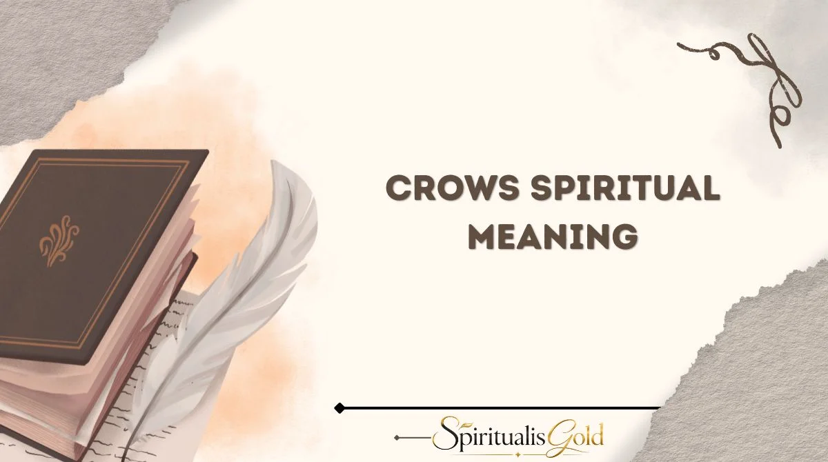 Crows Spiritual Meaning