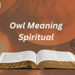 Owl Meaning Spiritual