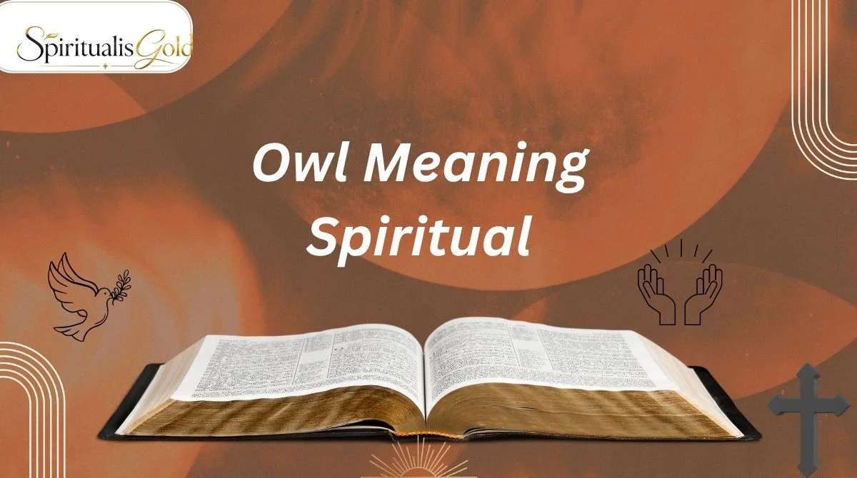 Owl Meaning Spiritual