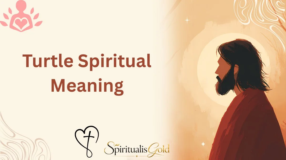 Turtle Spiritual Meaning